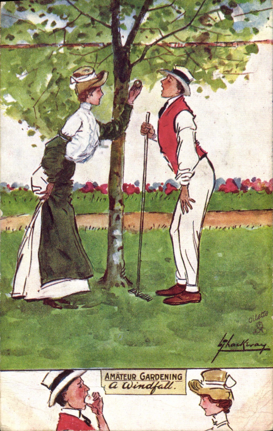 VINTAGE POSTCARD Fantasy Illustrator Amateur gardening