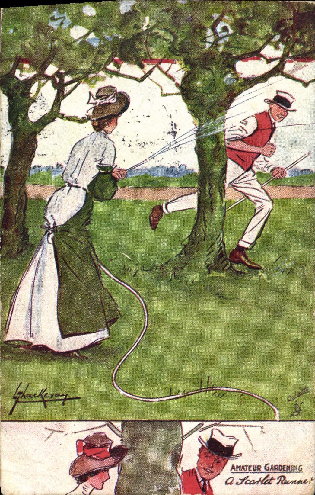 CPA Fantaisie Illustrateur Amateur gardening 