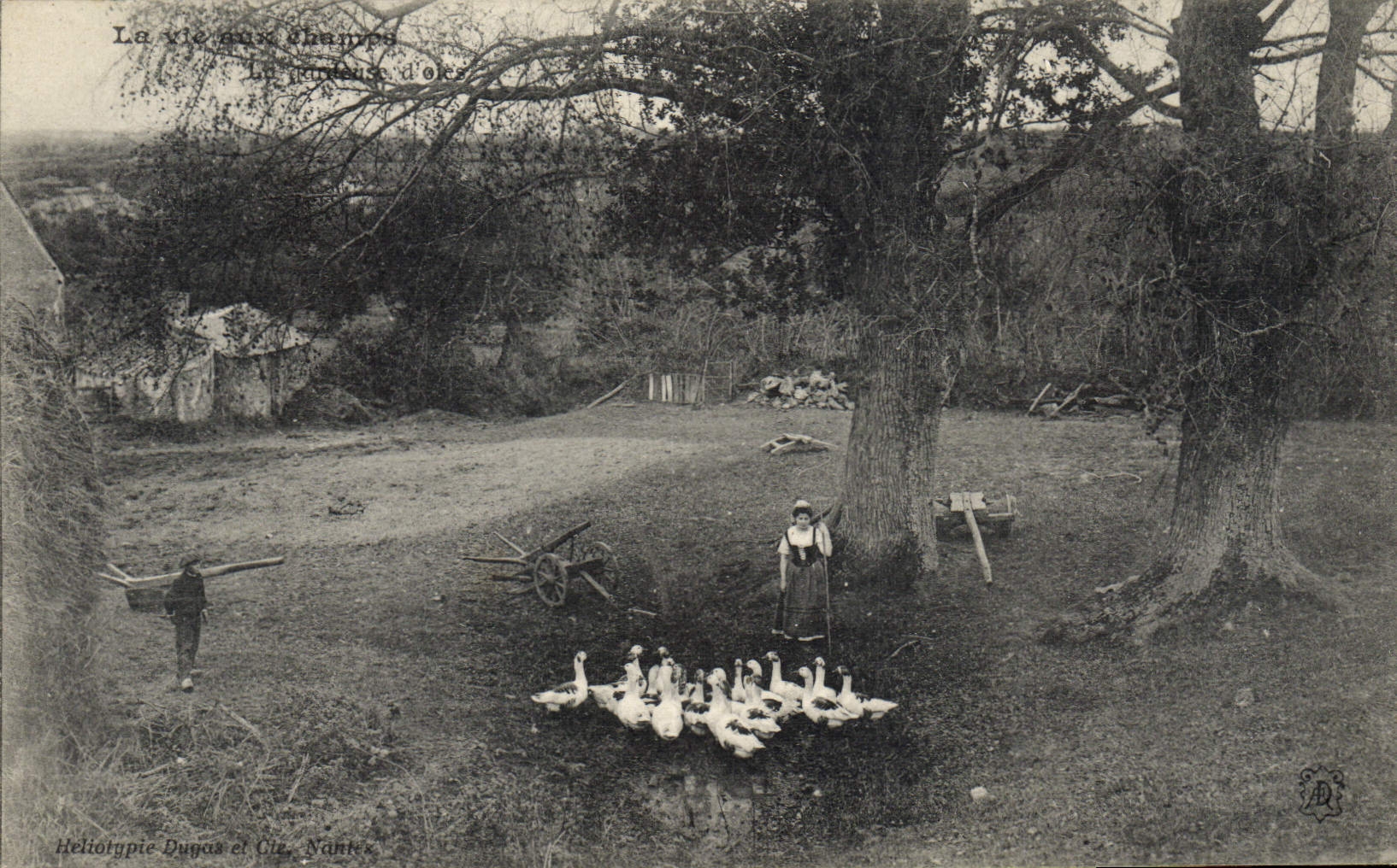 CPA Folklore La vie aux champs La gardeuse d'oies