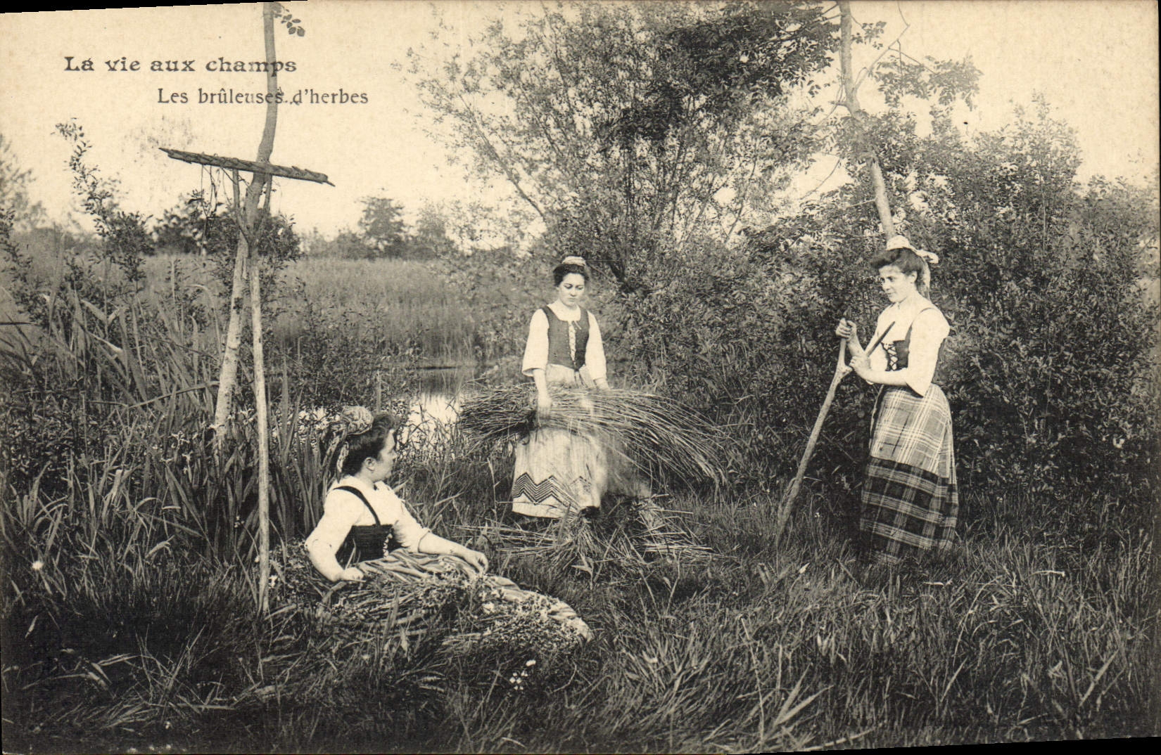CPA Folklore La vie aux champs Les bruleuses d'herbes 