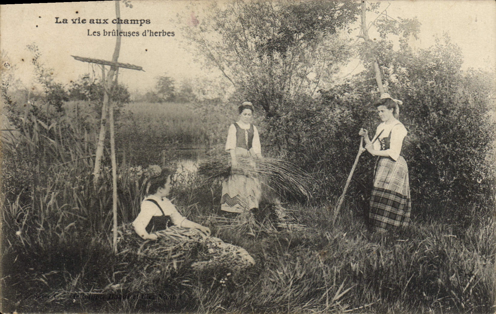 CPA Folklore La vie aux champs Les bruleuses d'herbes 