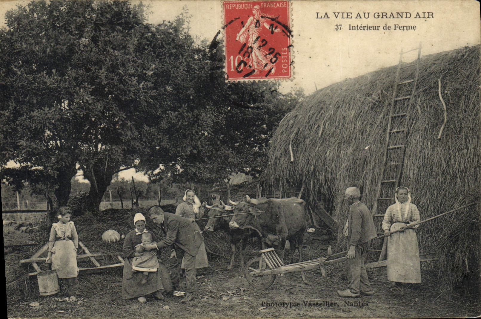 La vida del folklore de la POSTAL de la VENDIMIA con el gran aire libre interior de bueyes firmes REMATA