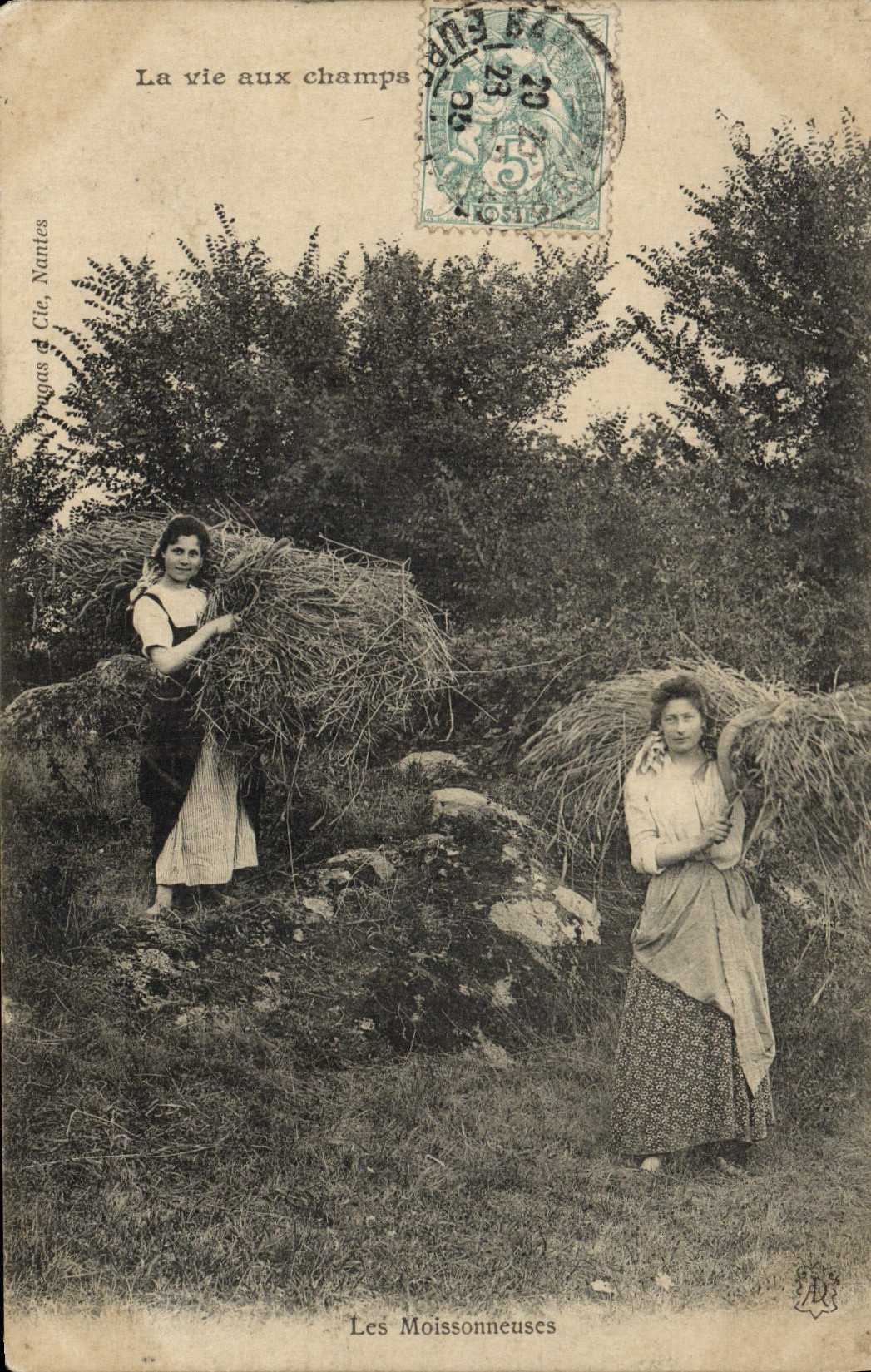 CPA Folklore La vie aux champs Les moissonneuses 