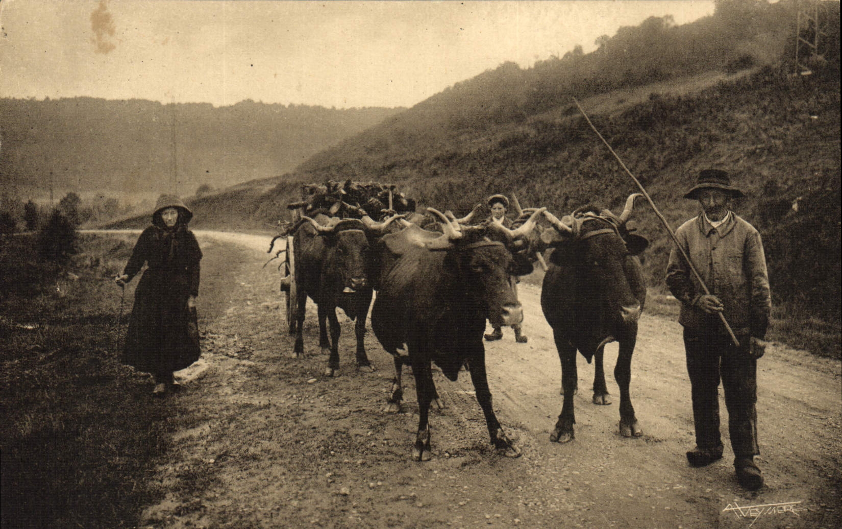 VINTAGE POSTCARD Folklore Auvergne Charrot of the firewood