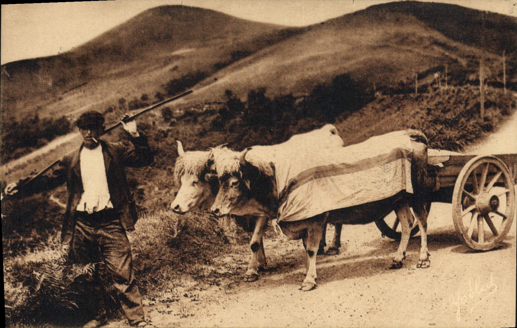 VINTAGE POSTCARD Folklore Basque Country Basque Coach Oxen