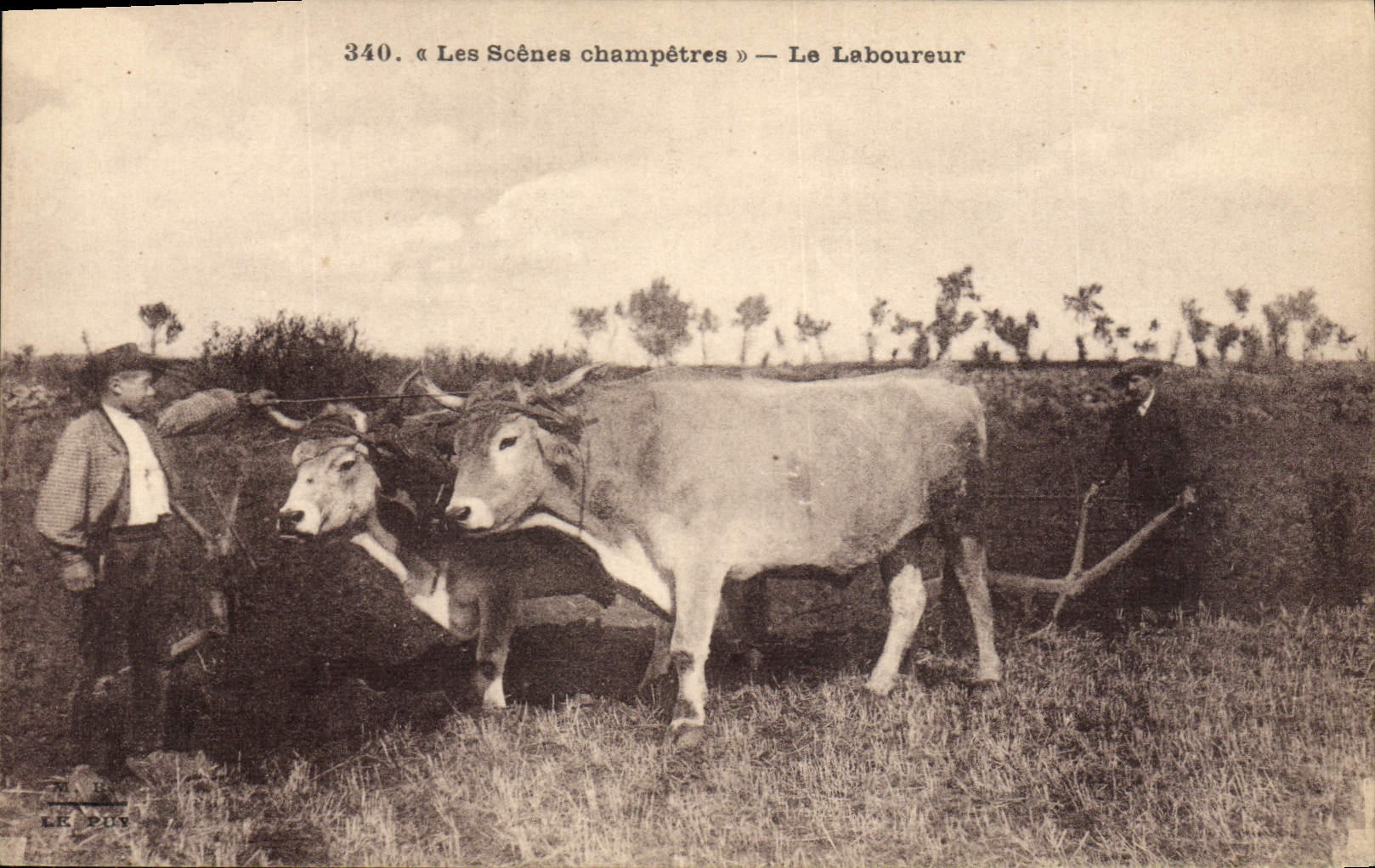CPA Folklore Le laboureur Boeuf 
