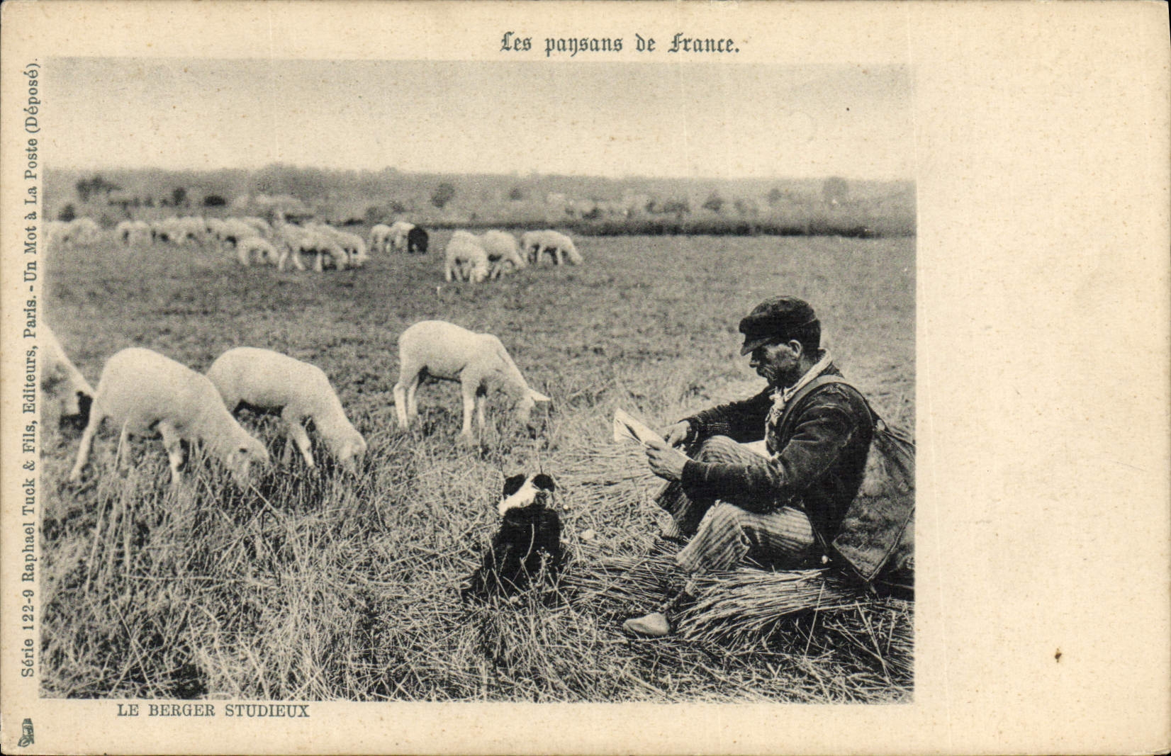 CPA Folklore Le berger studieux Moutons Chien