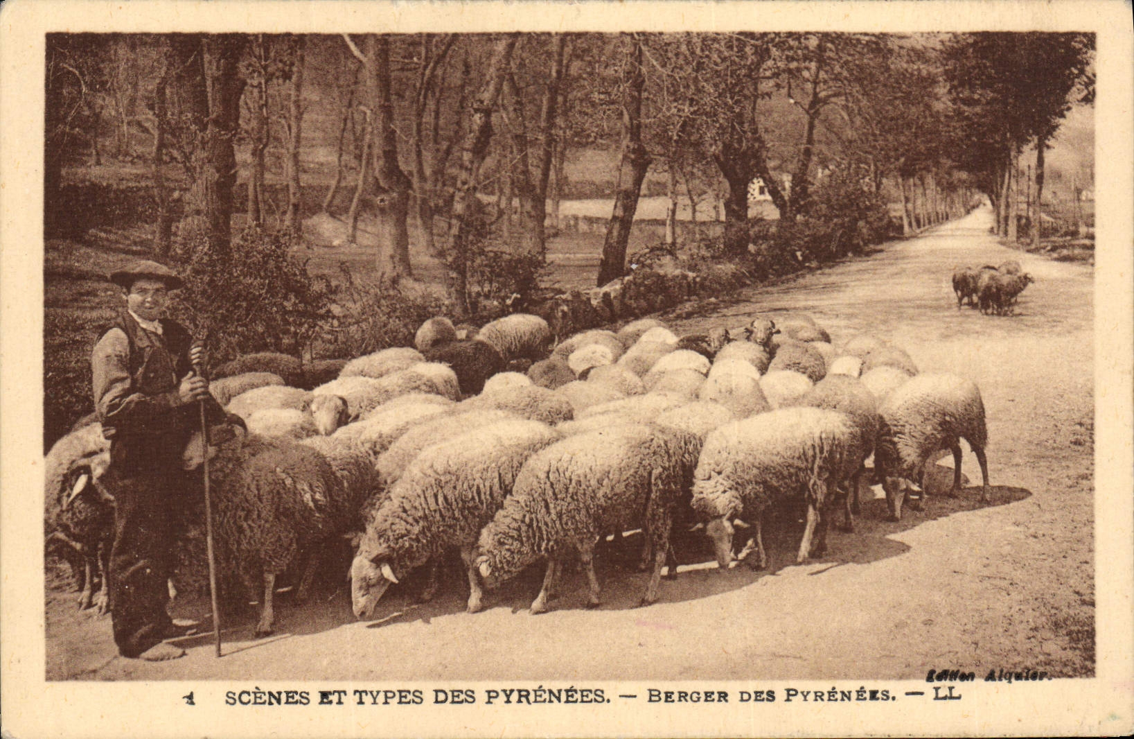 CPA Folklore Pyrenees Berger Moutons