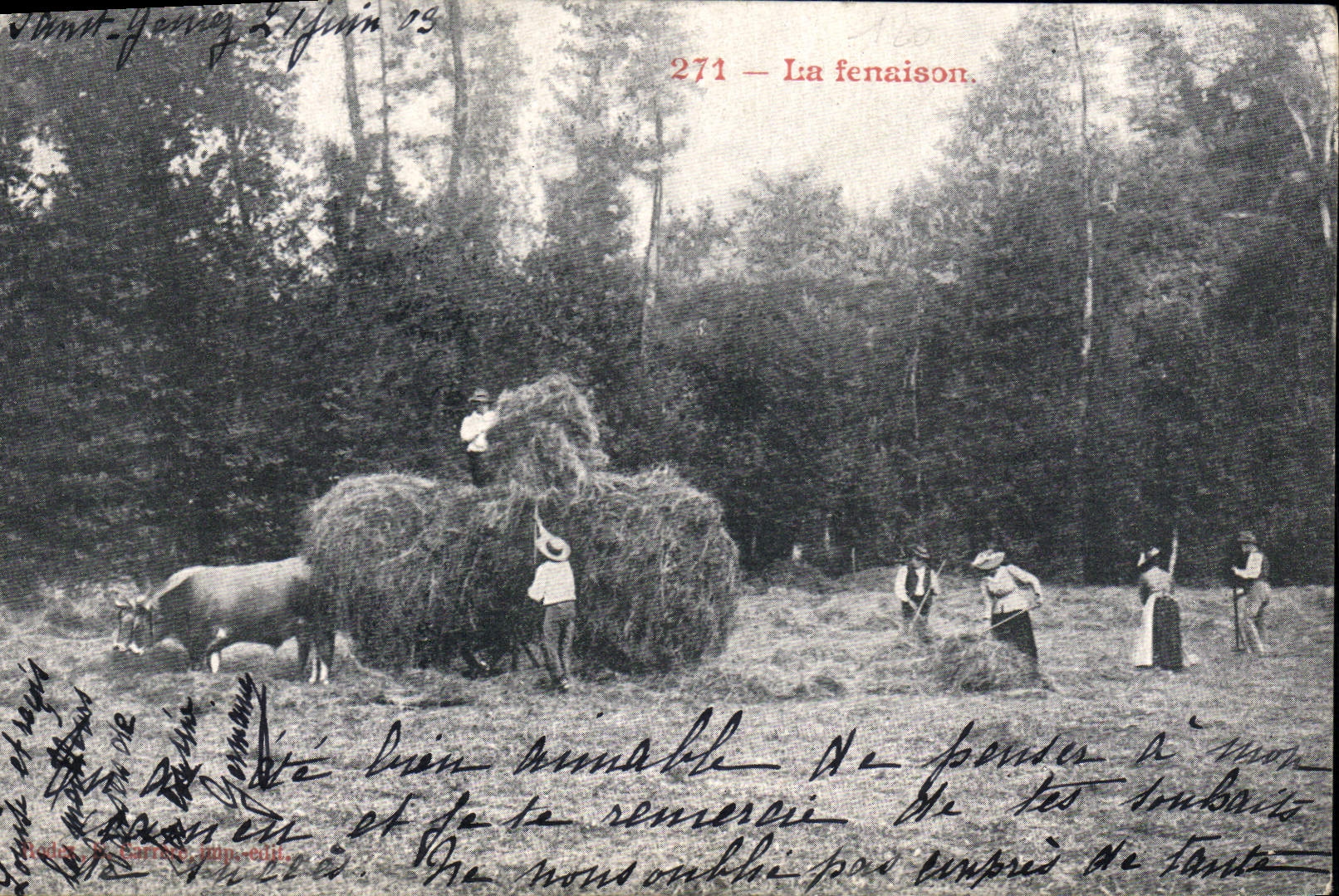 VINTAGE POSTCARD Folklore the haymaking Oxen