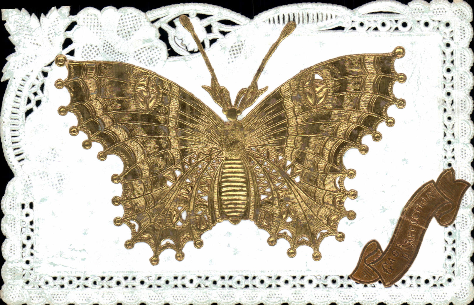 VINTAGE POSTCARD gilded Butterfly