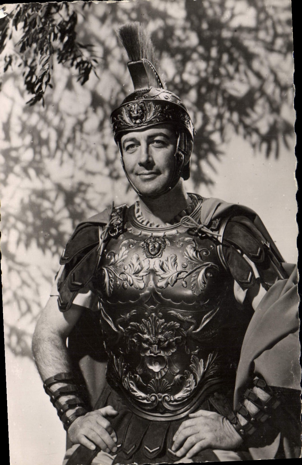 MODERN CARD Cinema Robert Taylor Quo Vadis