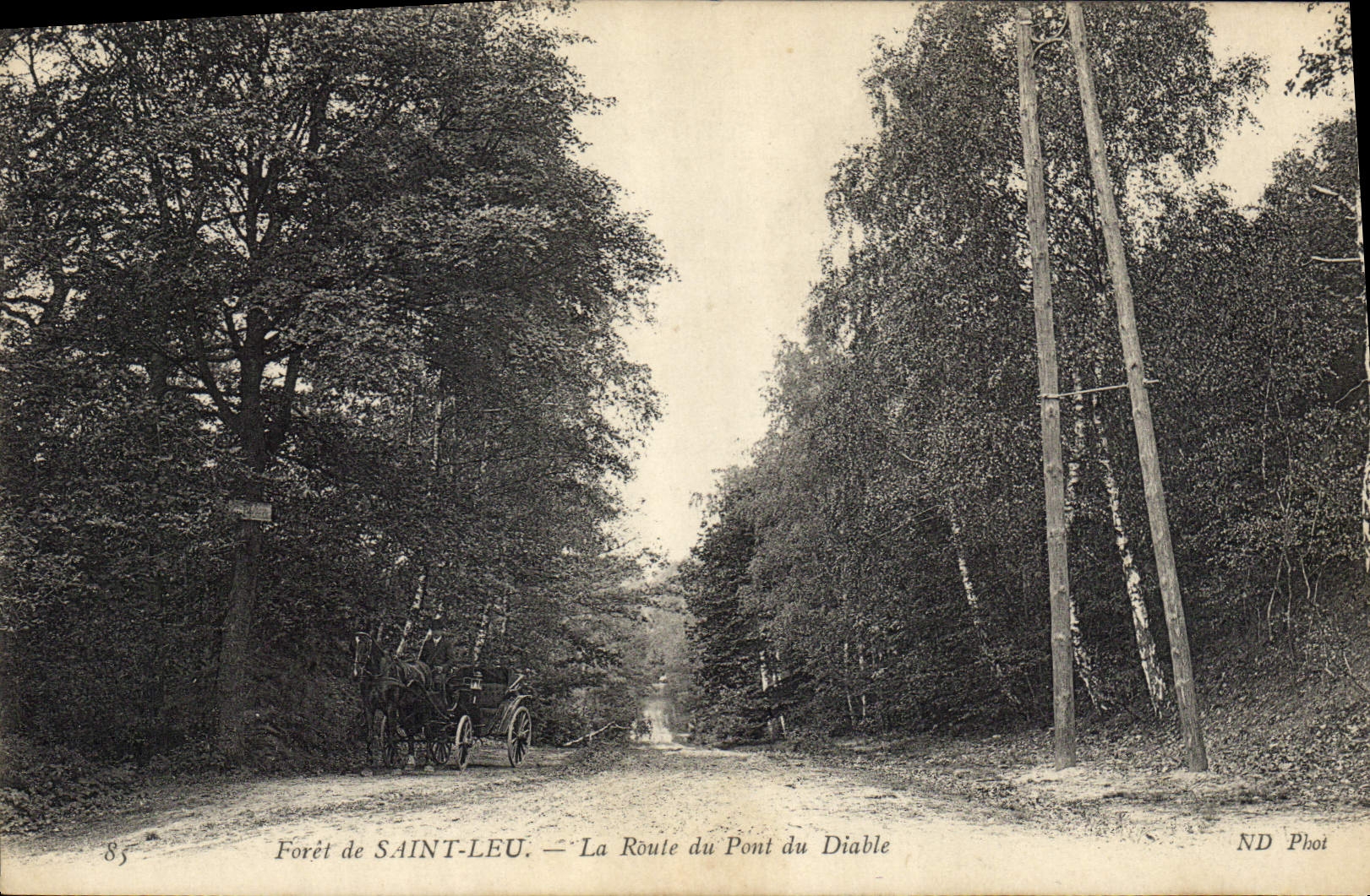 CPA Foret de Saint Leu La route du pont du diable