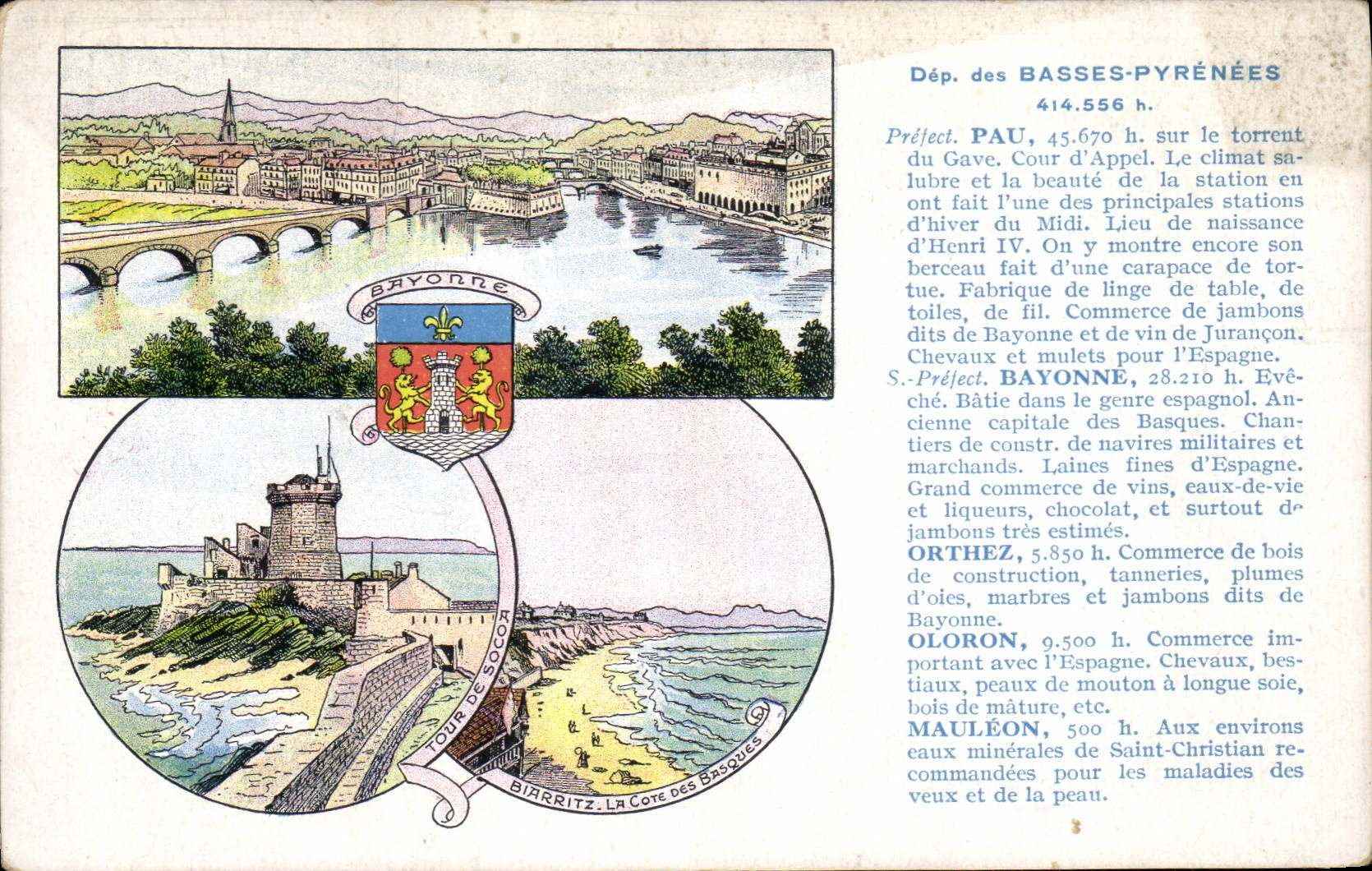 VINTAGE POSTCARD the Low Pyrenees Pau Lion