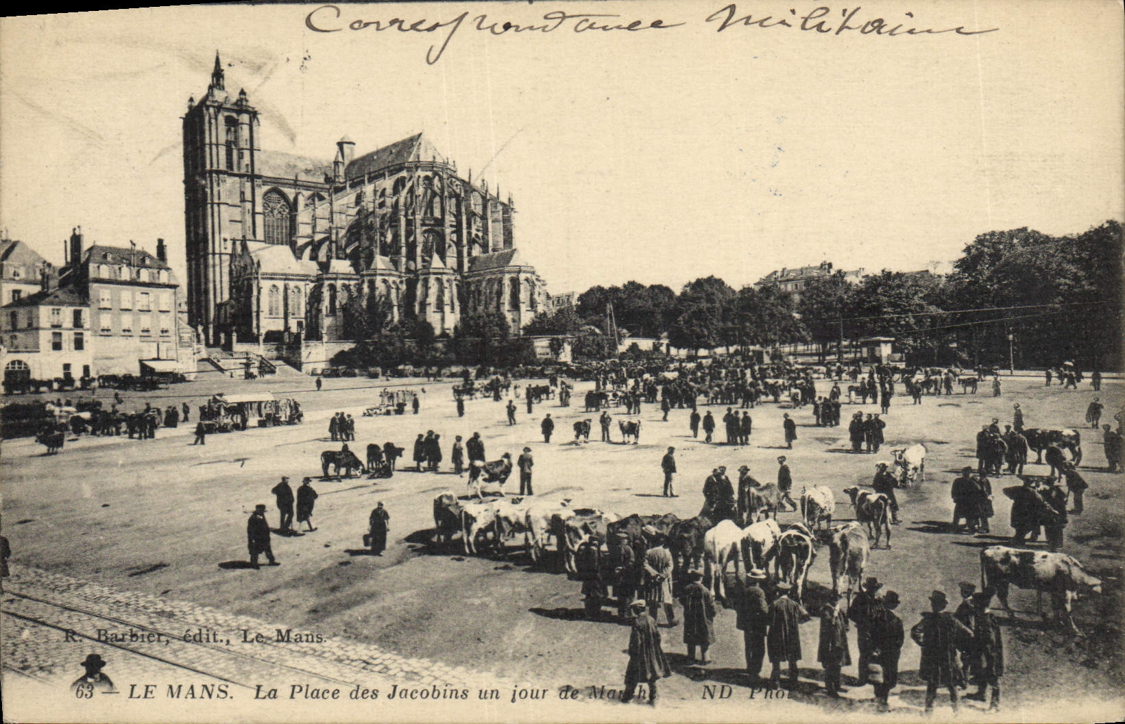 CPA Le Mans La place des Jacobins un jour de marche Vaches