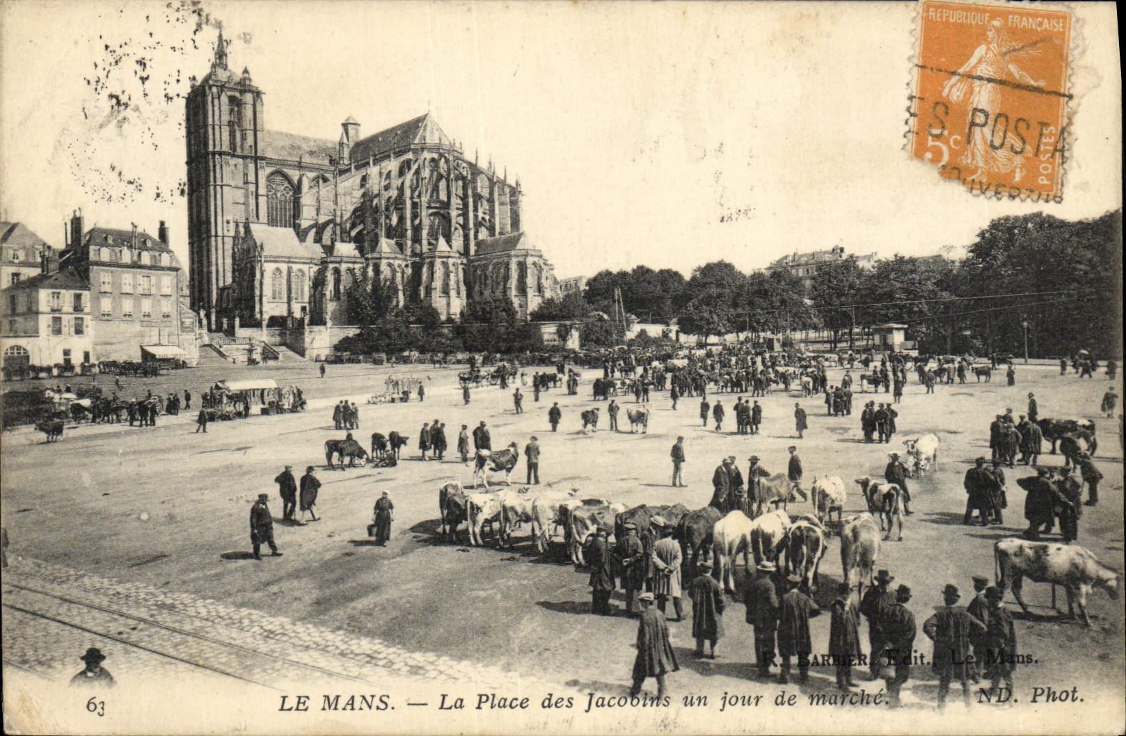 CPA Le Mans La place des Jacobins un jour de marche Vaches