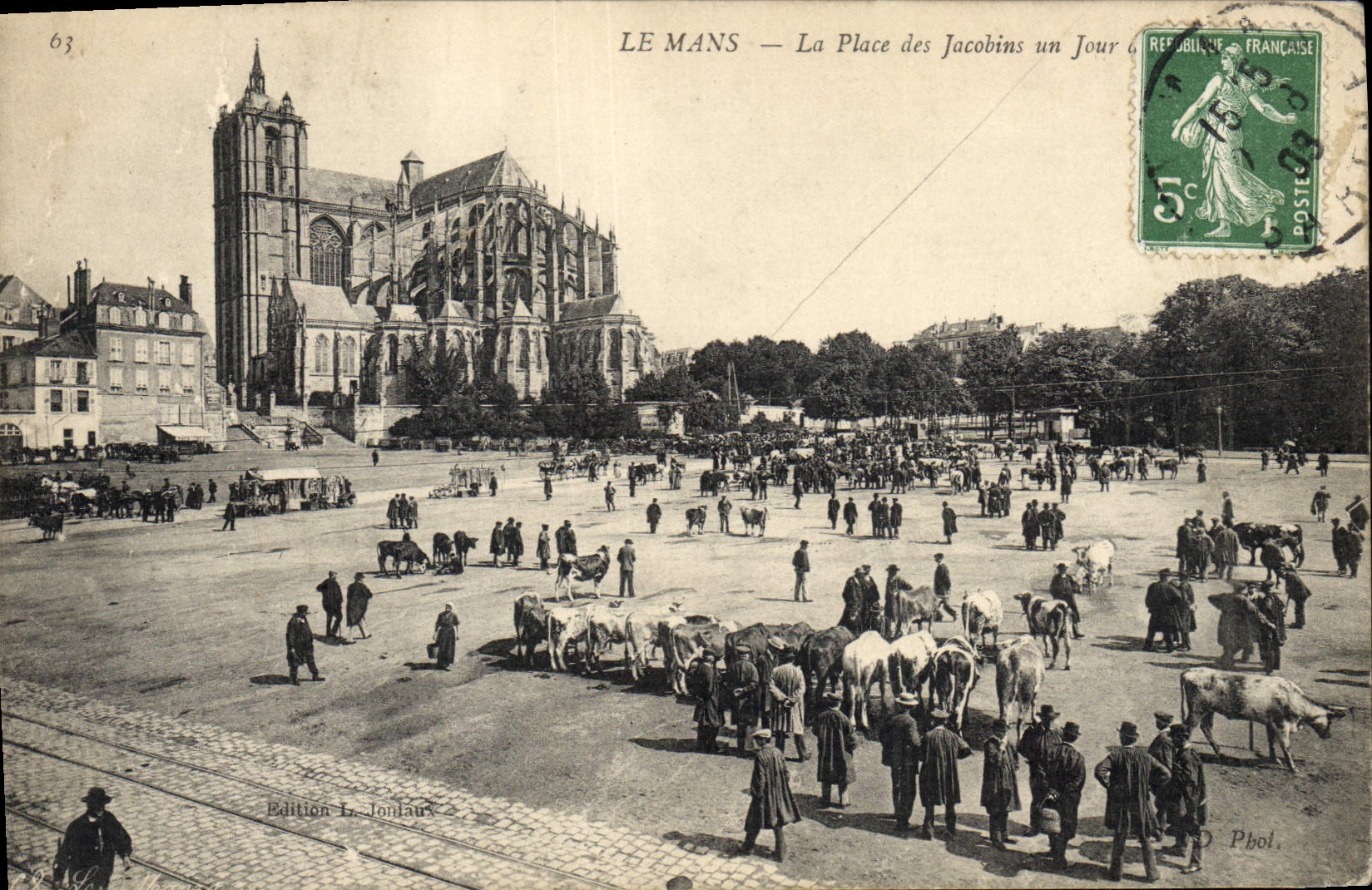 CPA Le Mans La place des Jacobins un jour de marche Vaches