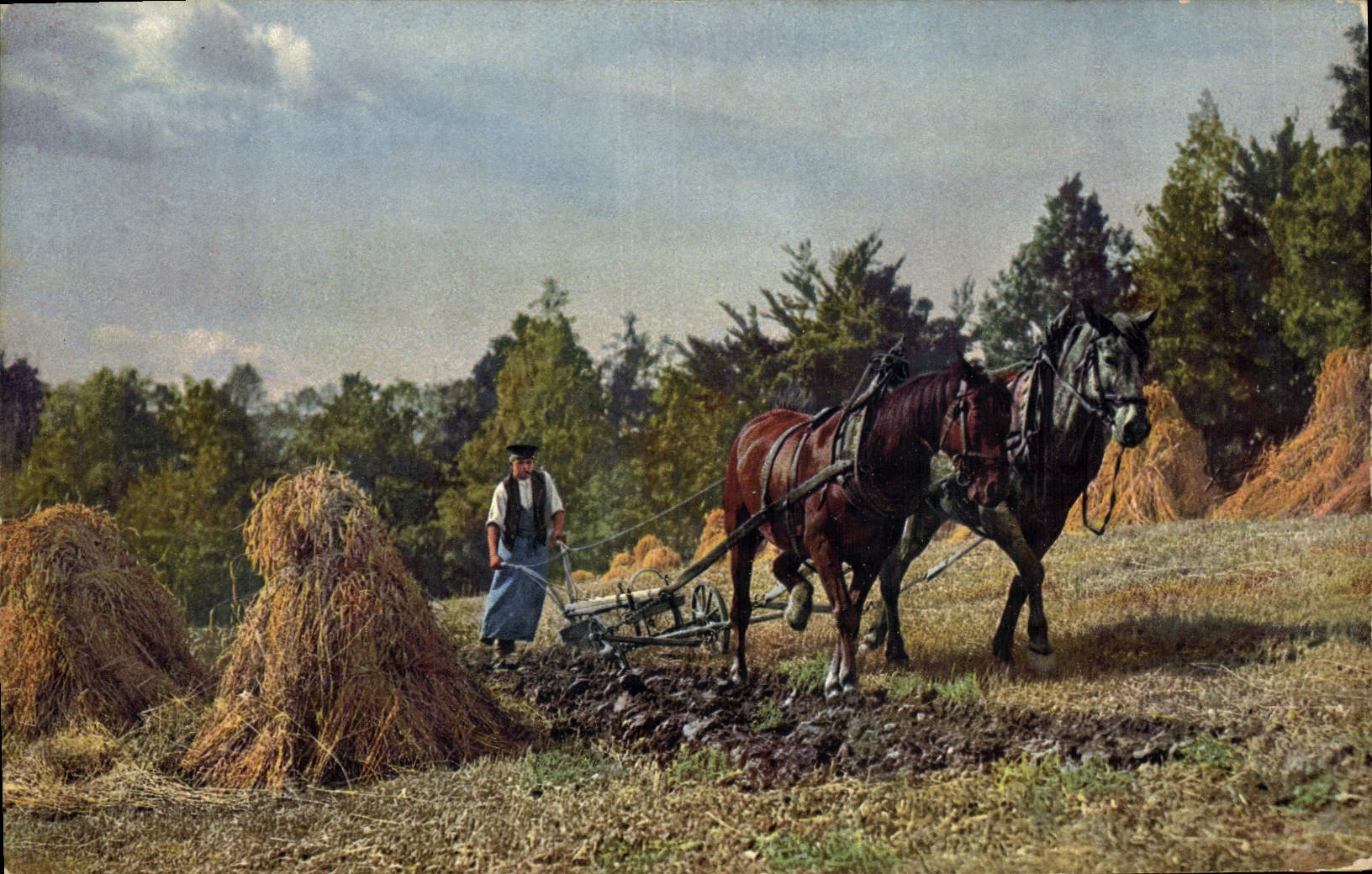 Caballos de arado del folklore de la POSTAL de la VENDIMIA