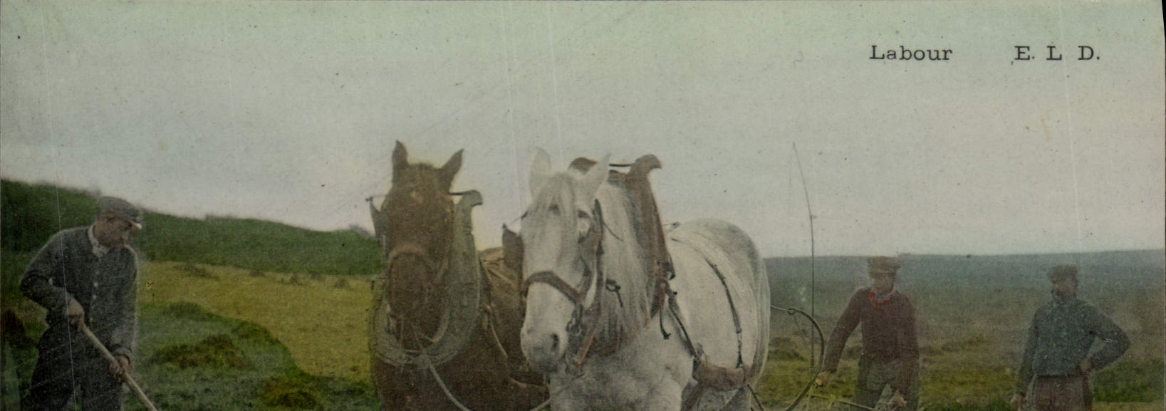 CPA Folklore Labour Cheval
