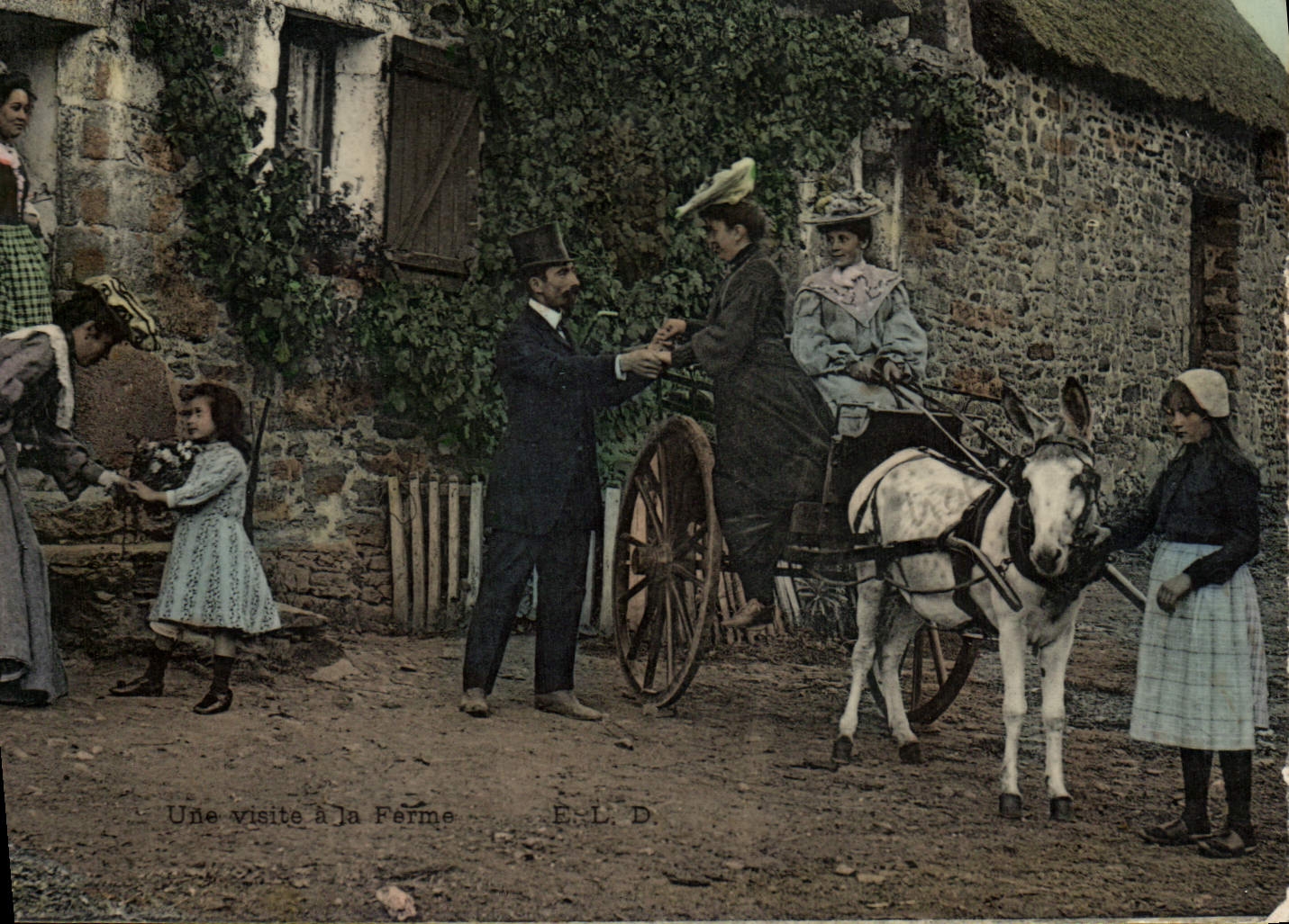 VINTAGE POSTCARD Folklore a visit with the firm Ass Mule