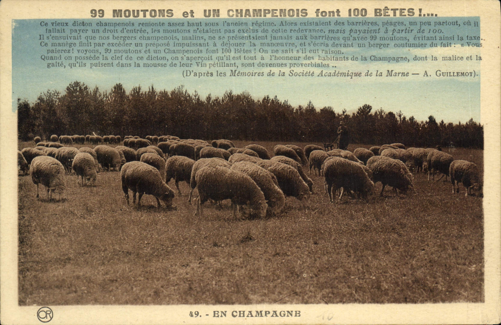 VINTAGE POSTCARD Champagne Sheep Folklore