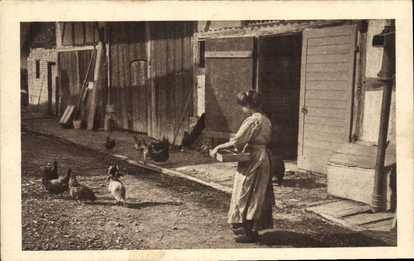 VINTAGE POSTCARD Folklore Woman and her hens