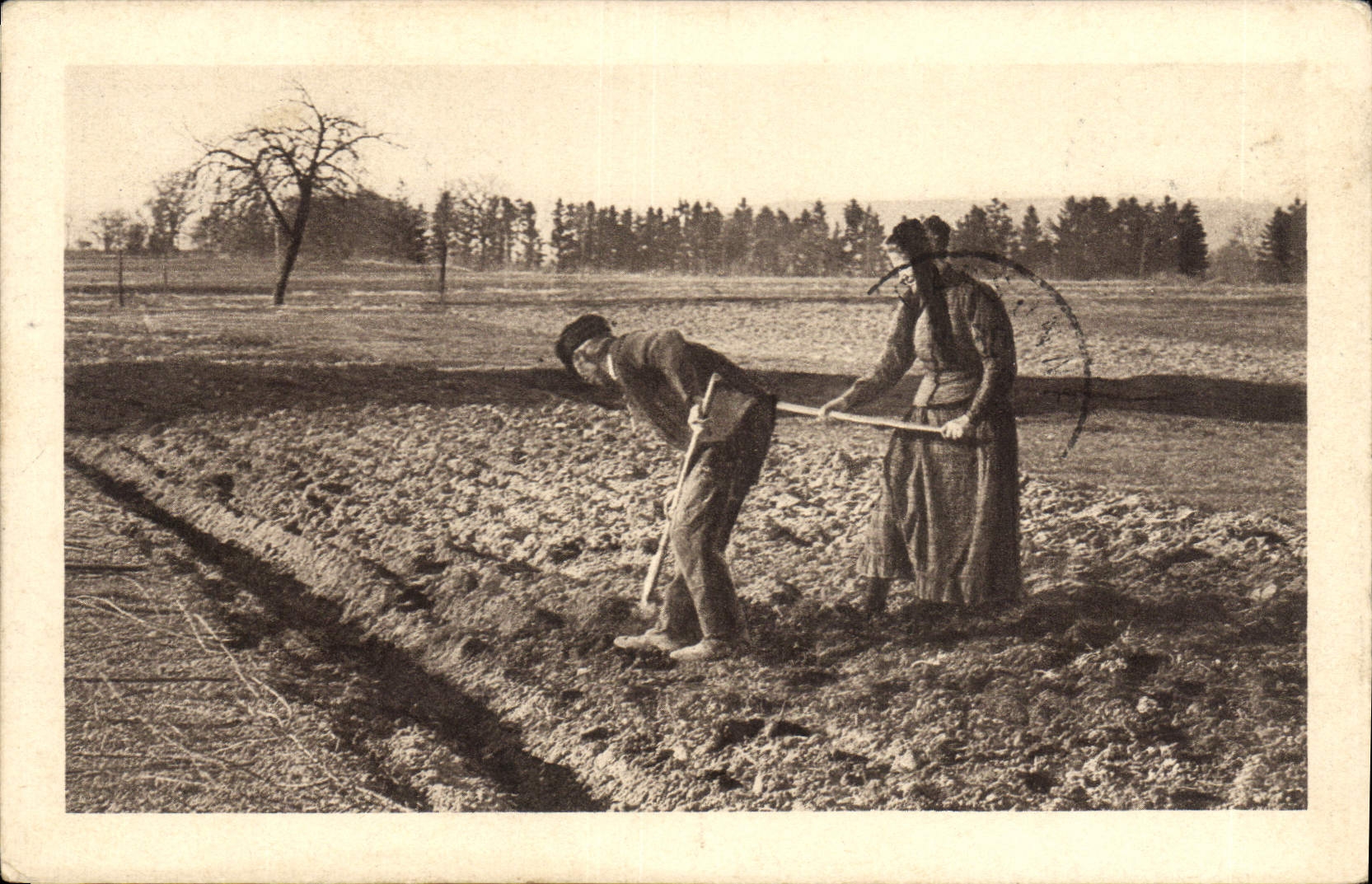 CPA Folklore Cultures Paysans 