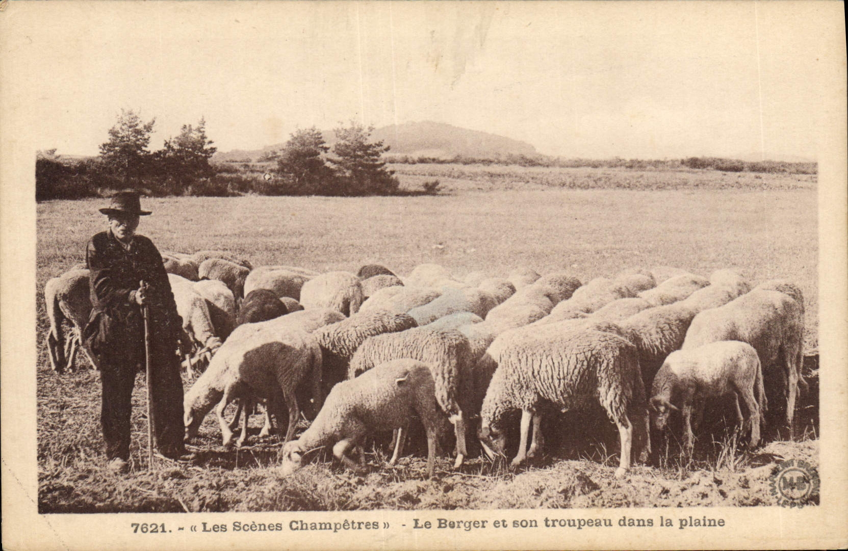 CPA Folklore Le berger et son troupeau dans la plaine Moutons