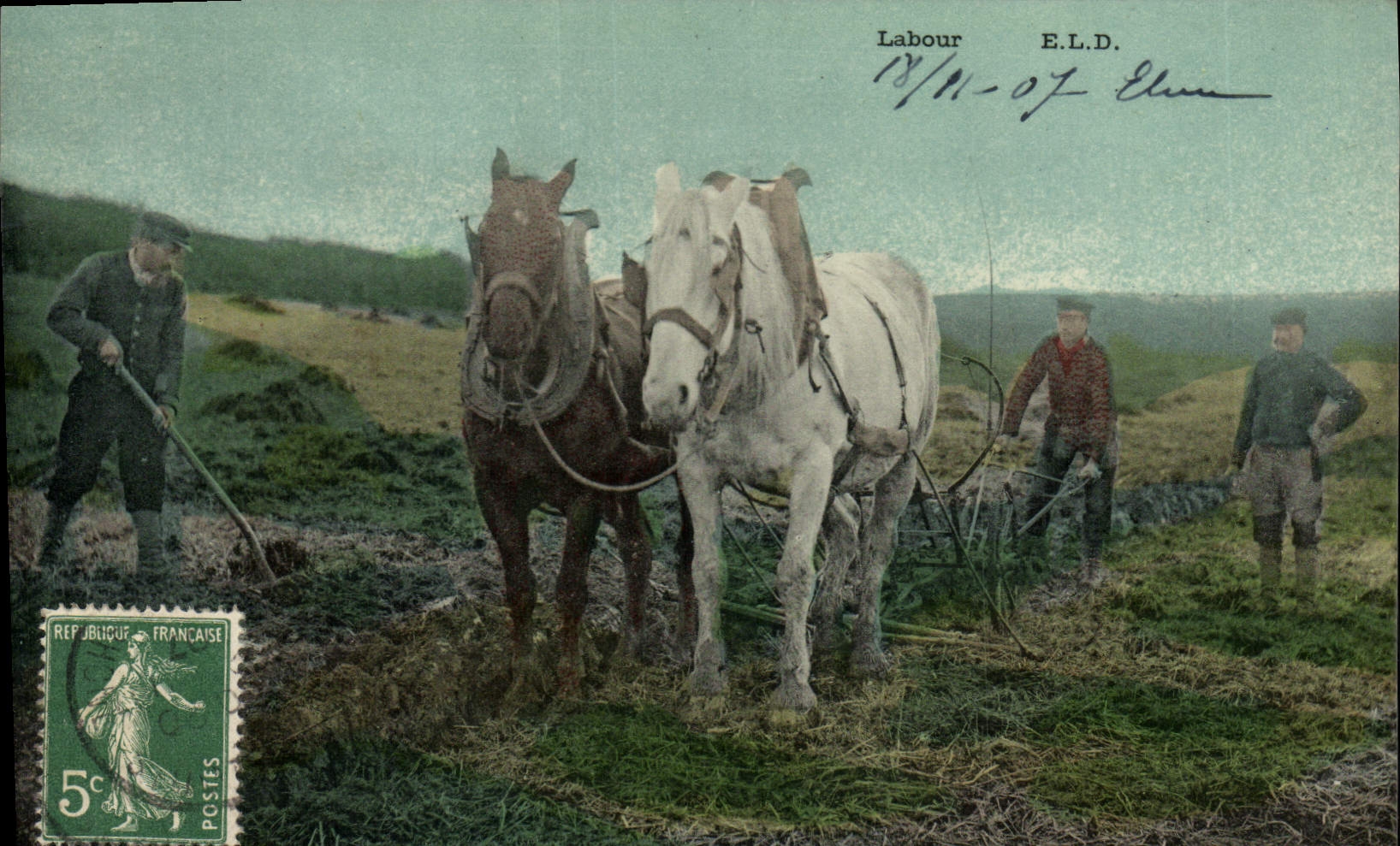 CPA Folklore Labour Chevaux