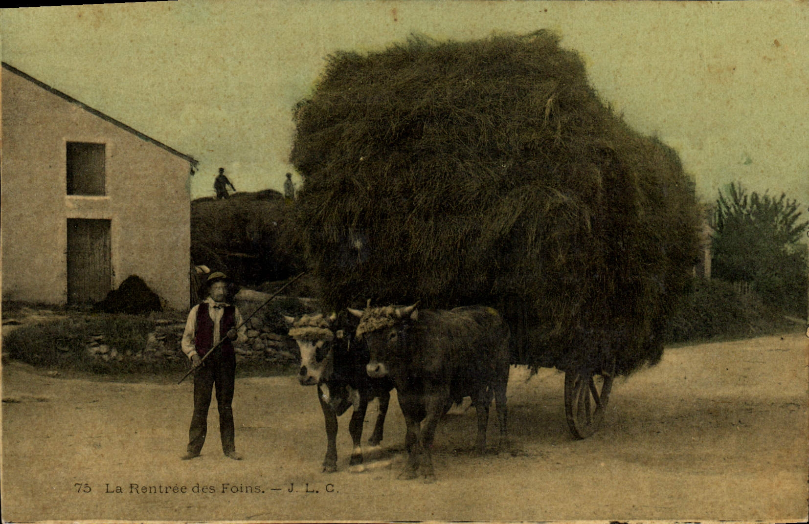 CPA Folklore Attelage La rentree des foins