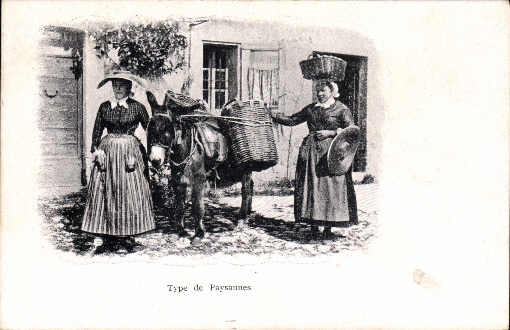 VINTAGE POSTCARD Standard Folklore of country-women Ass Mule