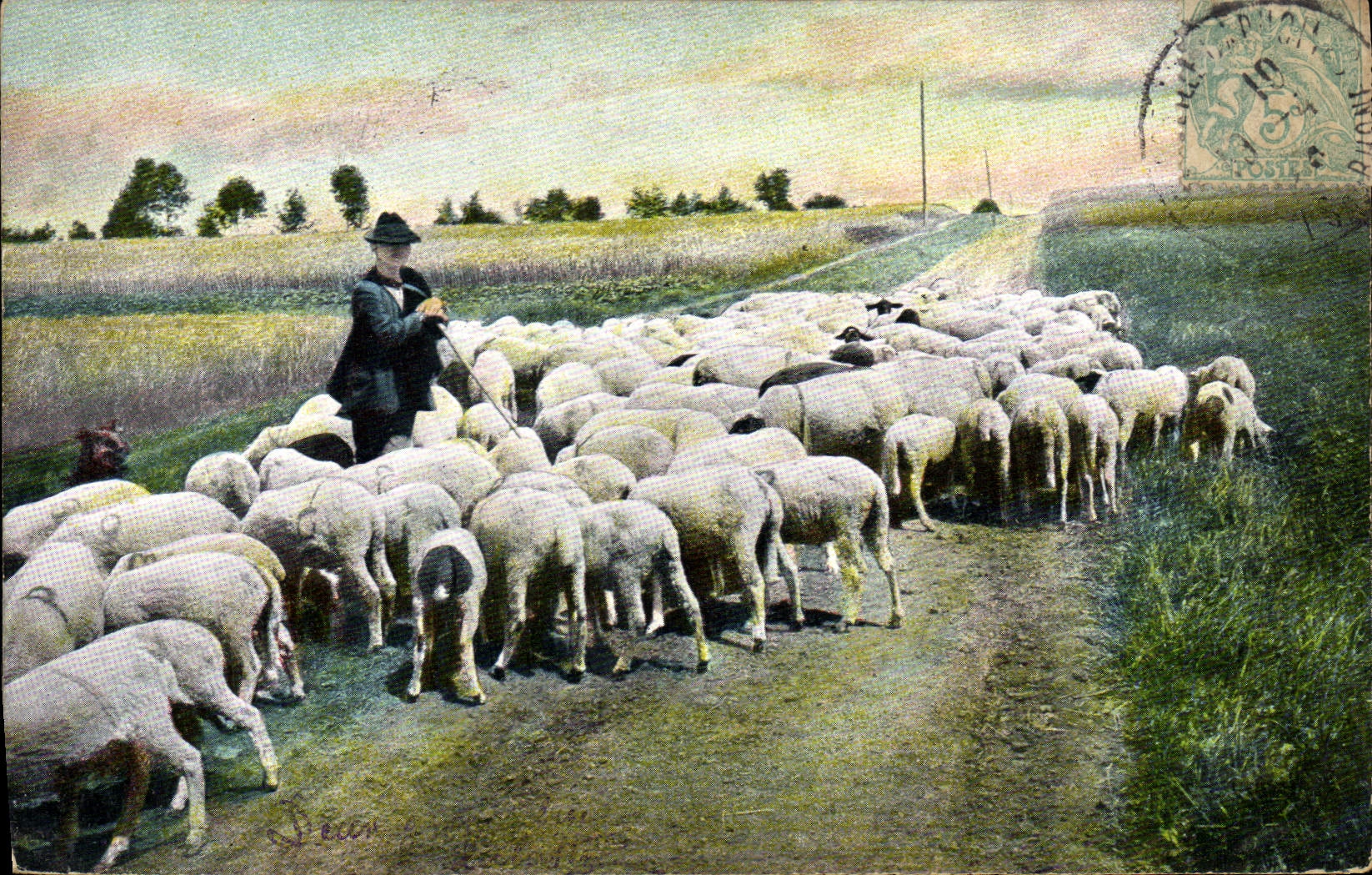 CPA Folklore Berger Moutons