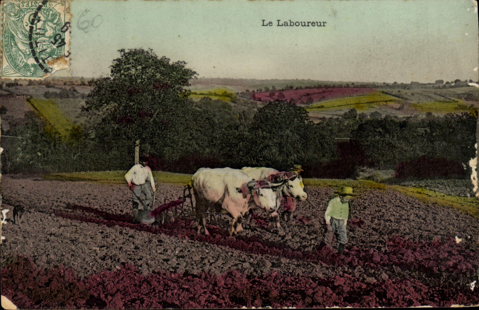 VINTAGE POSTCARD Folklore the plowman Coach Oxen