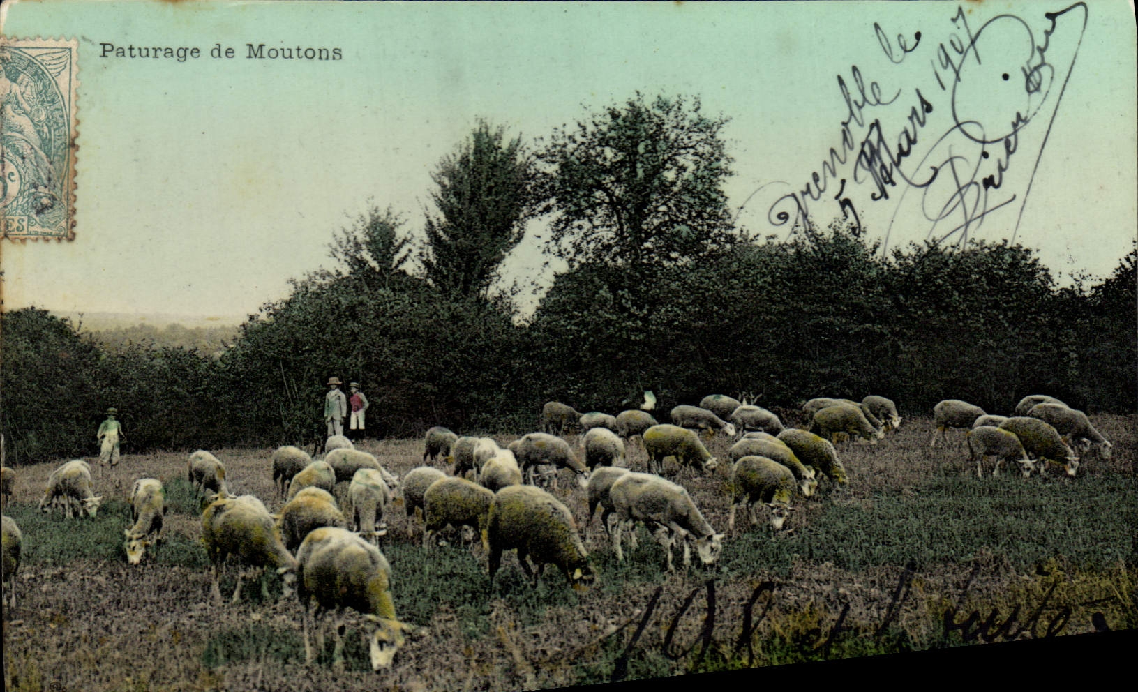 VINTAGE POSTCARD Folklore Pasture of sheep