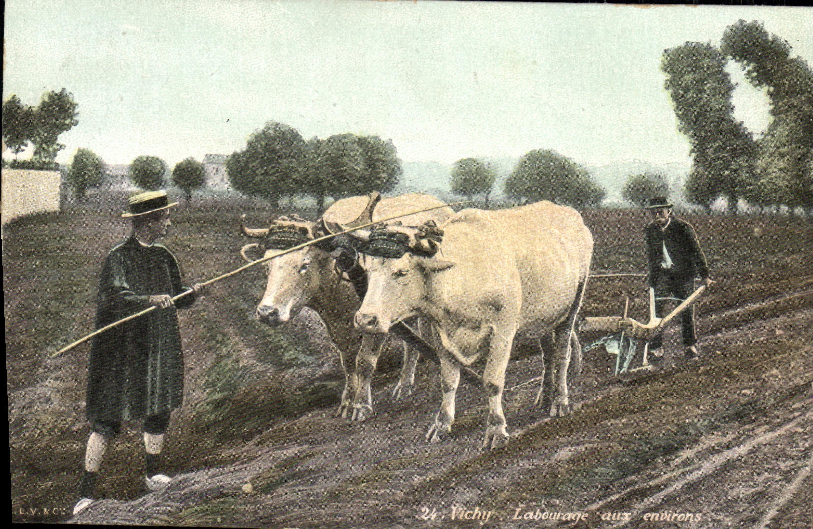 CPA Folklore Vichy Labourage aux environs Boeufs