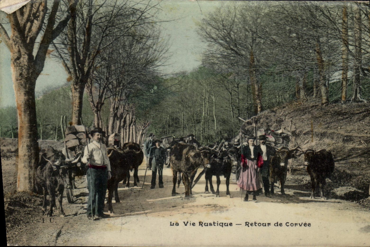 Vuelta rústica de la vida del folklore de la POSTAL de la VENDIMIA de los bueyes de la servidumbre