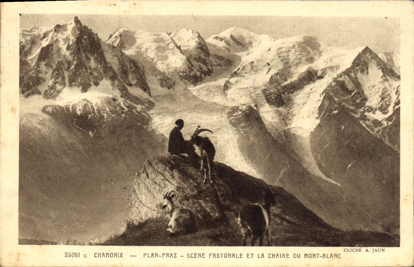 CPA Chevre Chamonix Plan Praz Scene pastorale et la chaine du Mont Blanc
