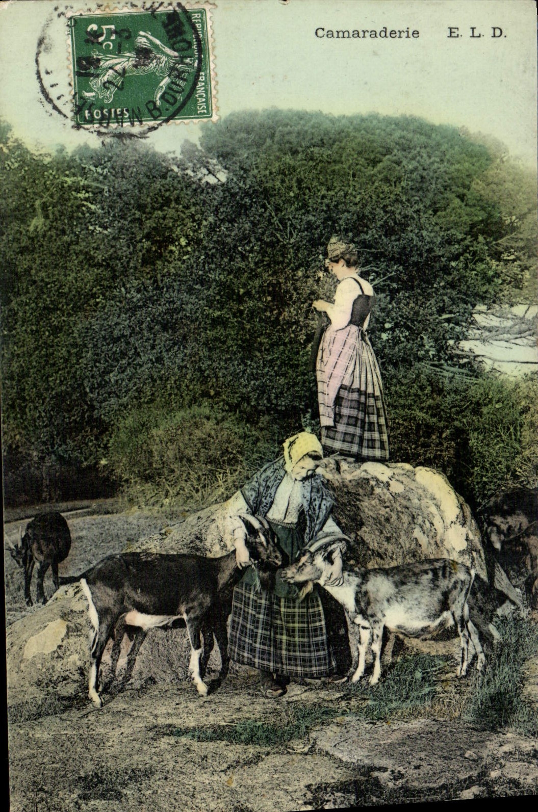CPA Chevre Camaraderie Folklore