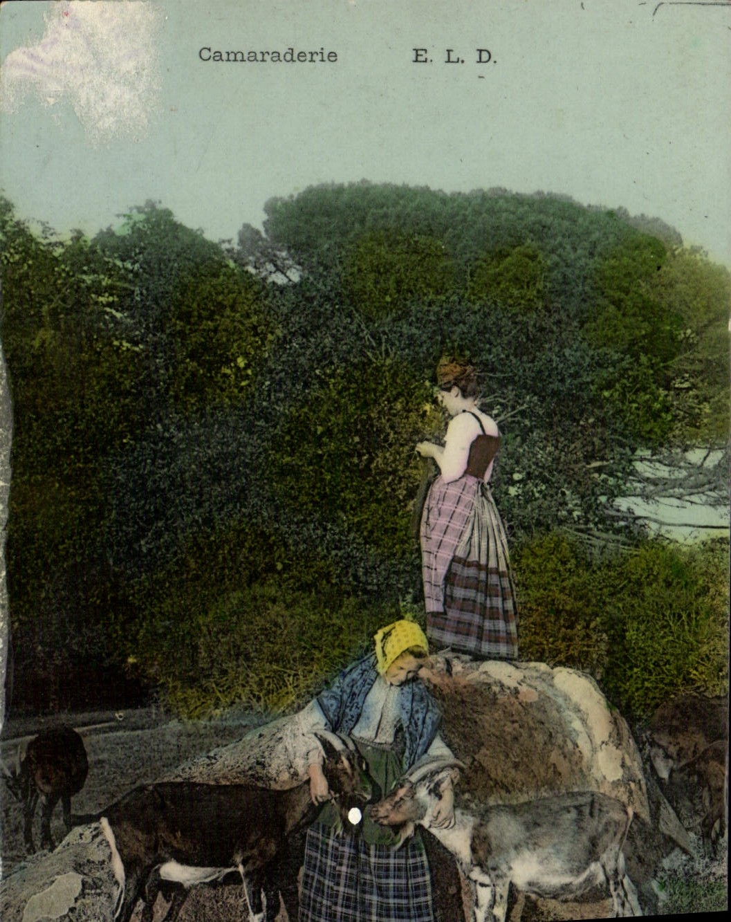 CPA Chevre Camaraderie Folklore