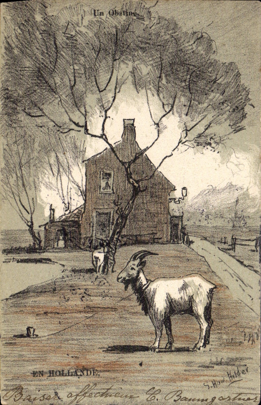 VINTAGE POSTCARD Goat Netherlands