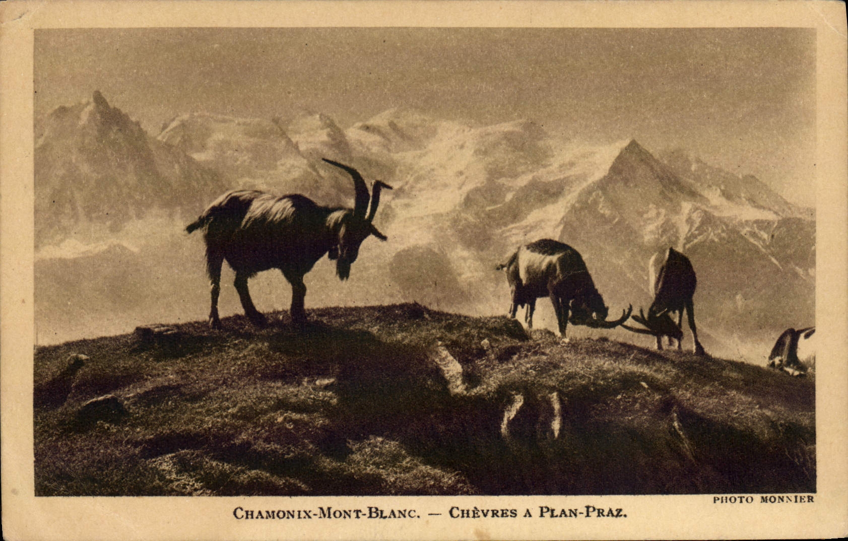 VINTAGE POSTCARD Chevre Chamonix Mont Blanc Chevres has plane Praz