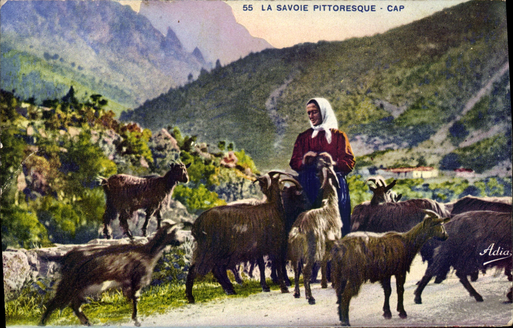 VINTAGE POSTCARD Goat Savoy Folklore Cape Woman