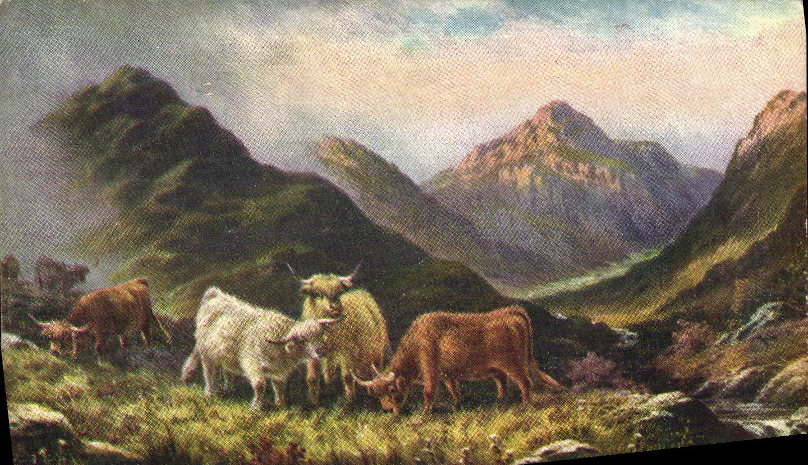 CPA Vaches 