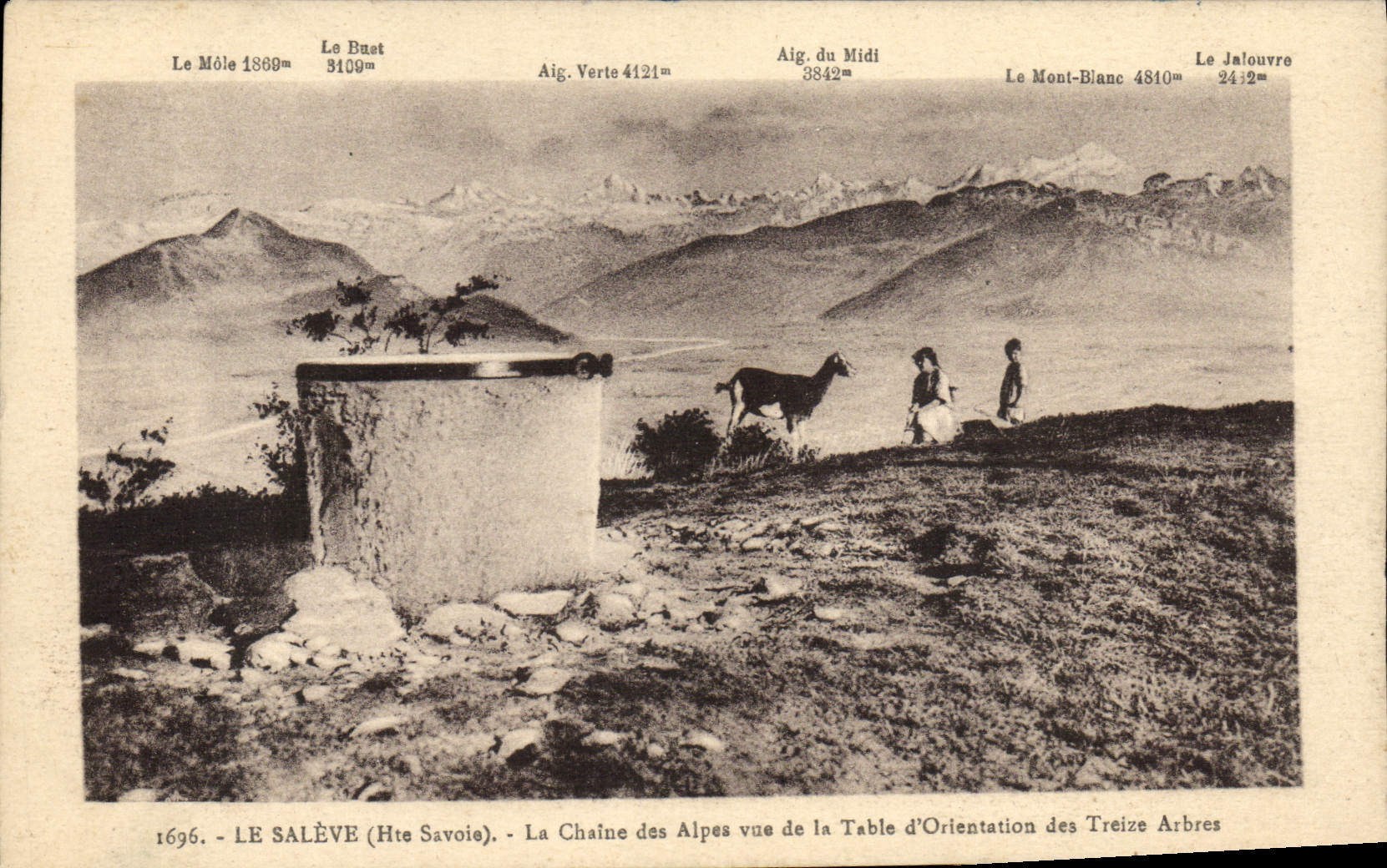 VINTAGE POSTCARD Goat Saleve the alpine range seen of the table of orientation of the Thirteen trees