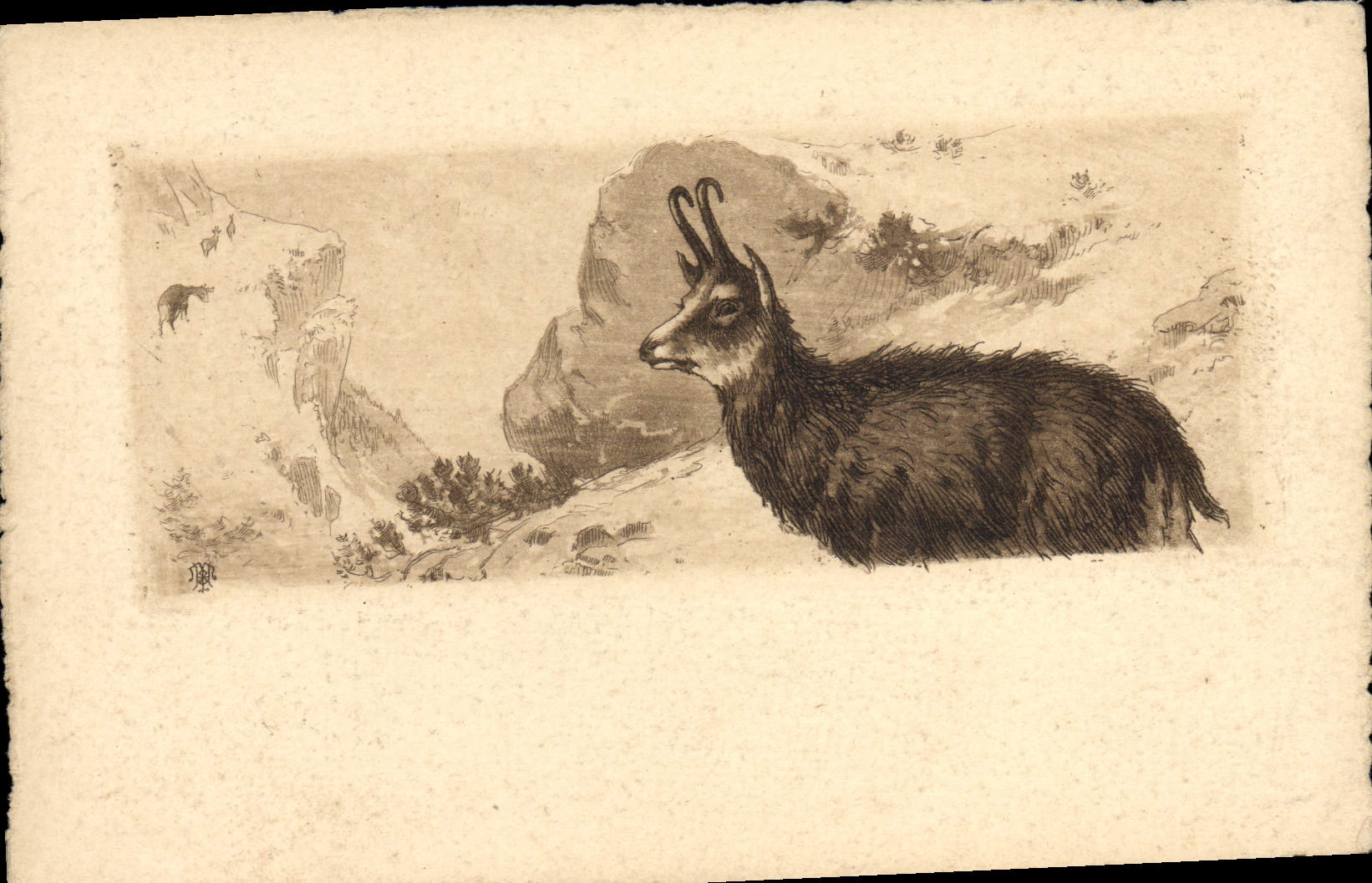 CPA Chamois 
