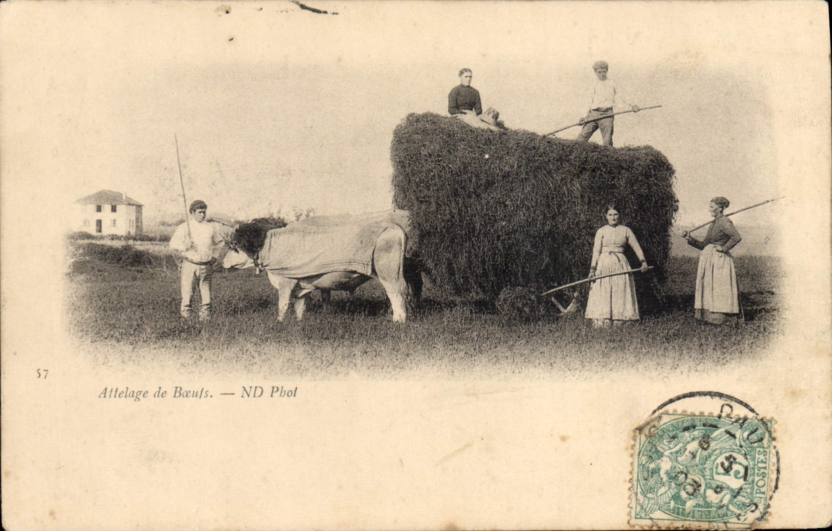 Coche del folklore de la POSTAL de la VENDIMIA de bueyes