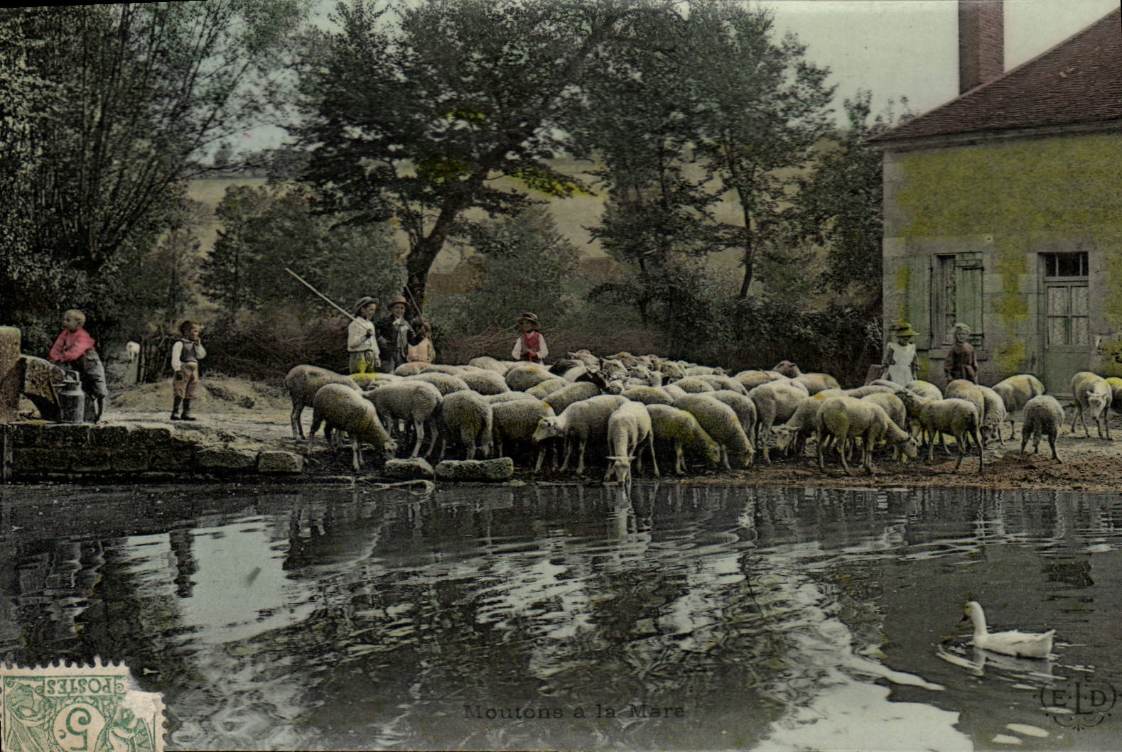 CPA Folklore Moutons Enfants