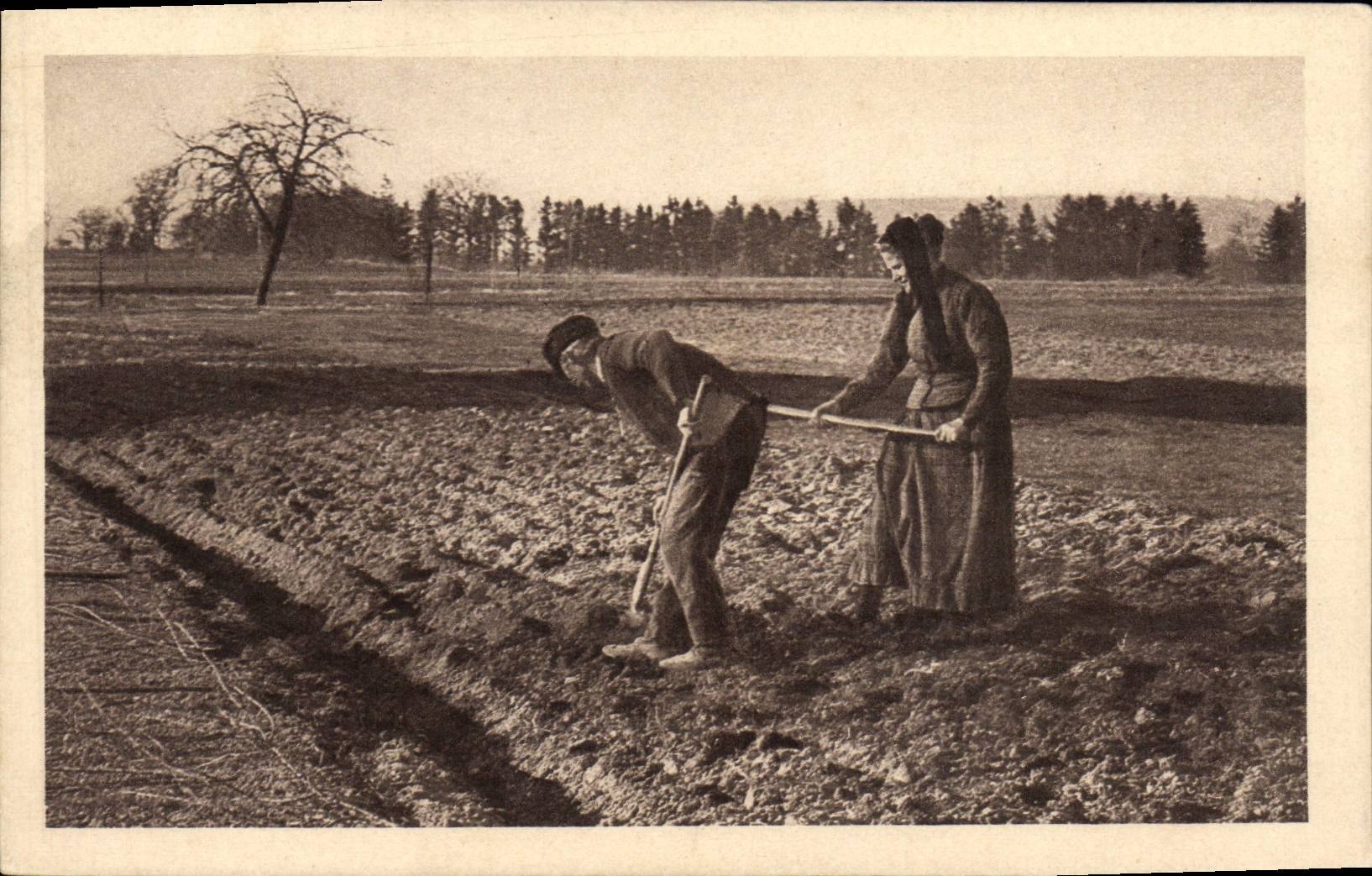 CPA Folklore Culture dans les champs 