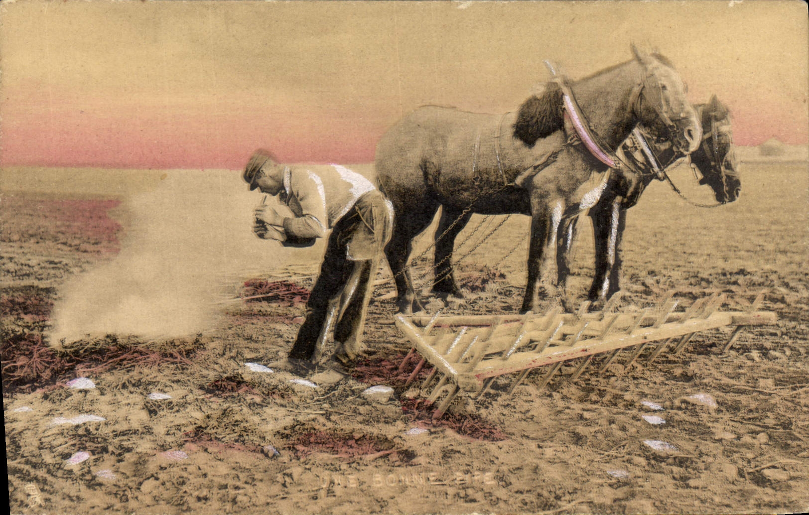 Caballos horrorosos del folklore de la POSTAL de la VENDIMIA