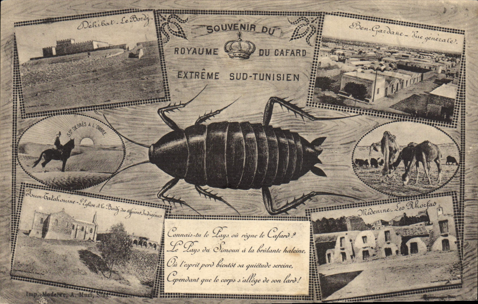 VINTAGE POSTCARD To remember of the Kingdom of the Southern cockroach Extreme Tunisian Tunisia