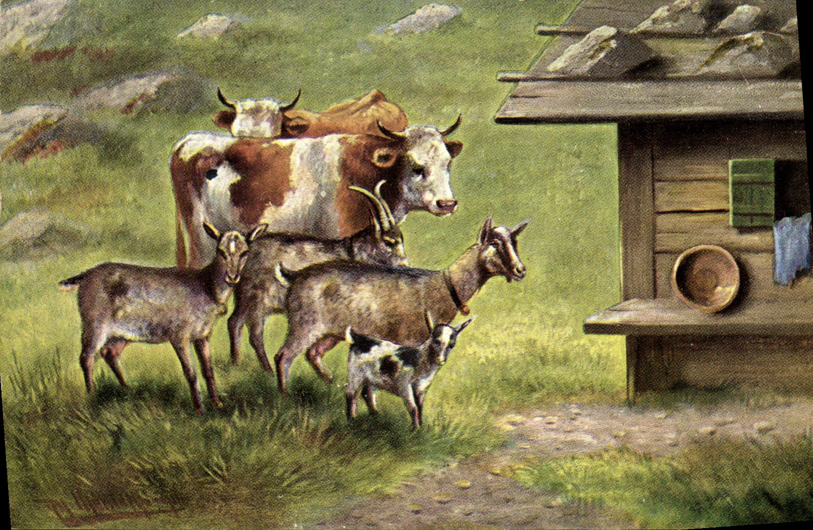 CPA Chevre Vache